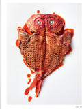 Fish Butchery by Josh Niland hardback cookbook — reverse butterfly fish, raw and cooked