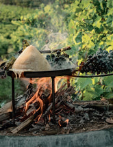 Green Fire by Francis Mallmann hardback cookbook — Grilled Grapes with Melted Cheese page