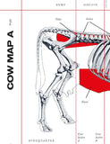 Steak by Tim Hayward hardback cookbook — Cow Map A page of beef cuts
