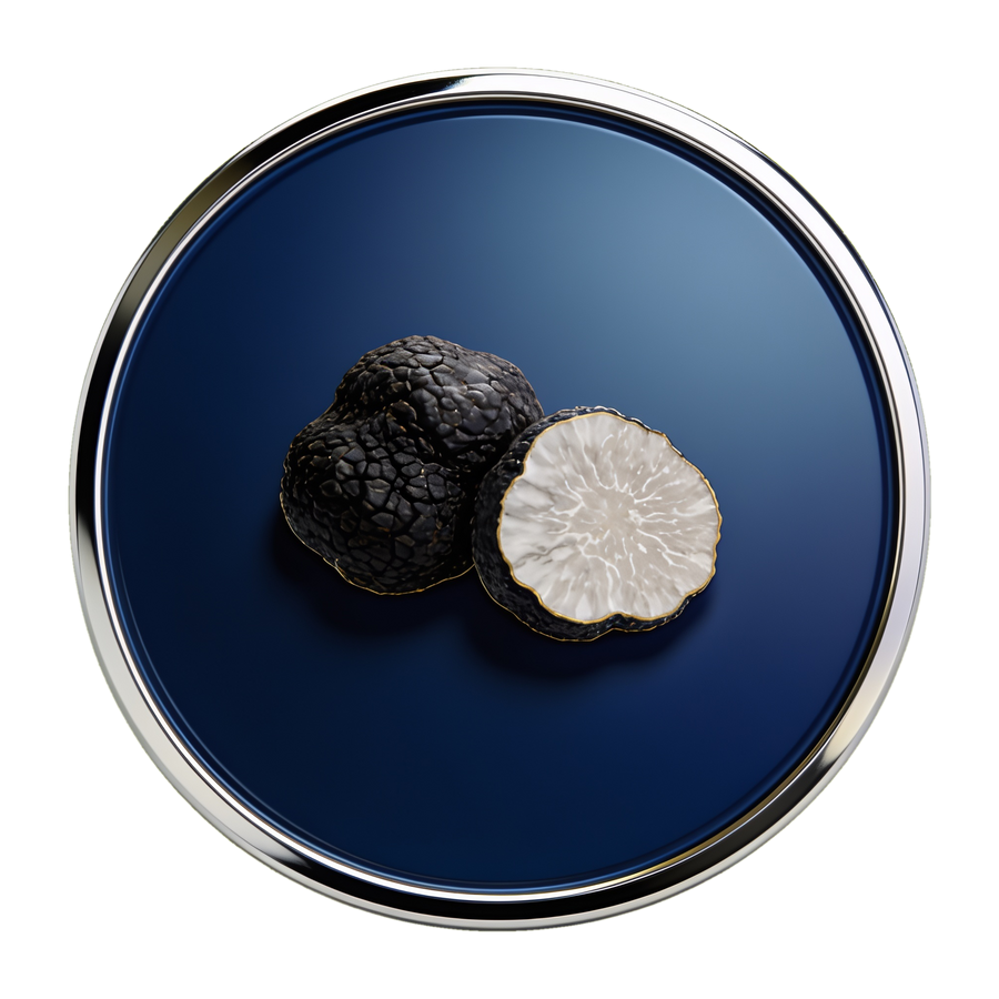 Truffle