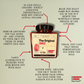 DC CARTEL: The Original 1983- Limited Release Crispy Chilli Oil - 268g