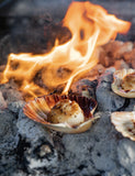 Fire Kitchen by Adam Roberts hardback cookbook — scallops in the shell cooking in hot coals