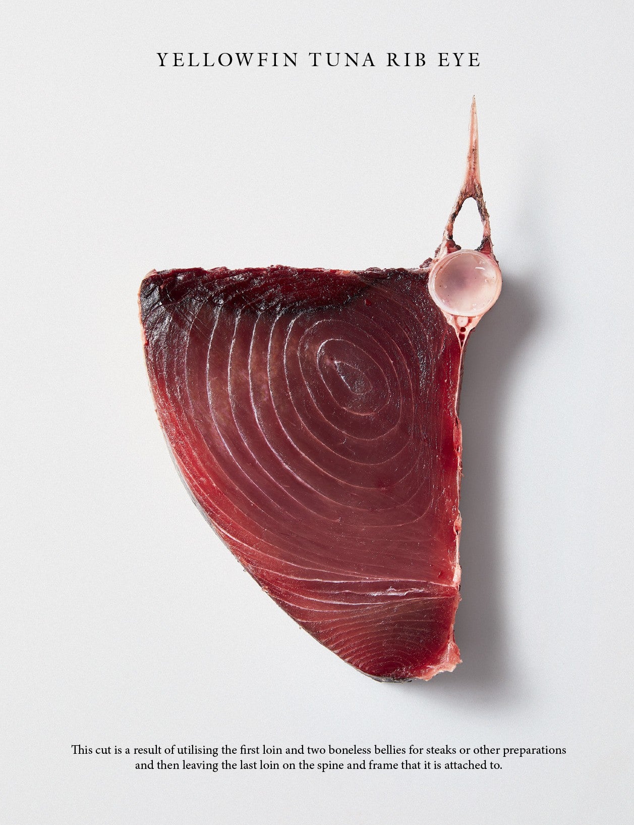 Fish Butchery by Josh Niland hardback cookbook — yellowfin tuna rib eye, raw and grilled
