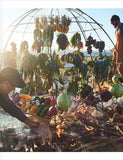 Green Fire by Francis Mallmann hardback cookbook — vegetables hanging over an open fire page
