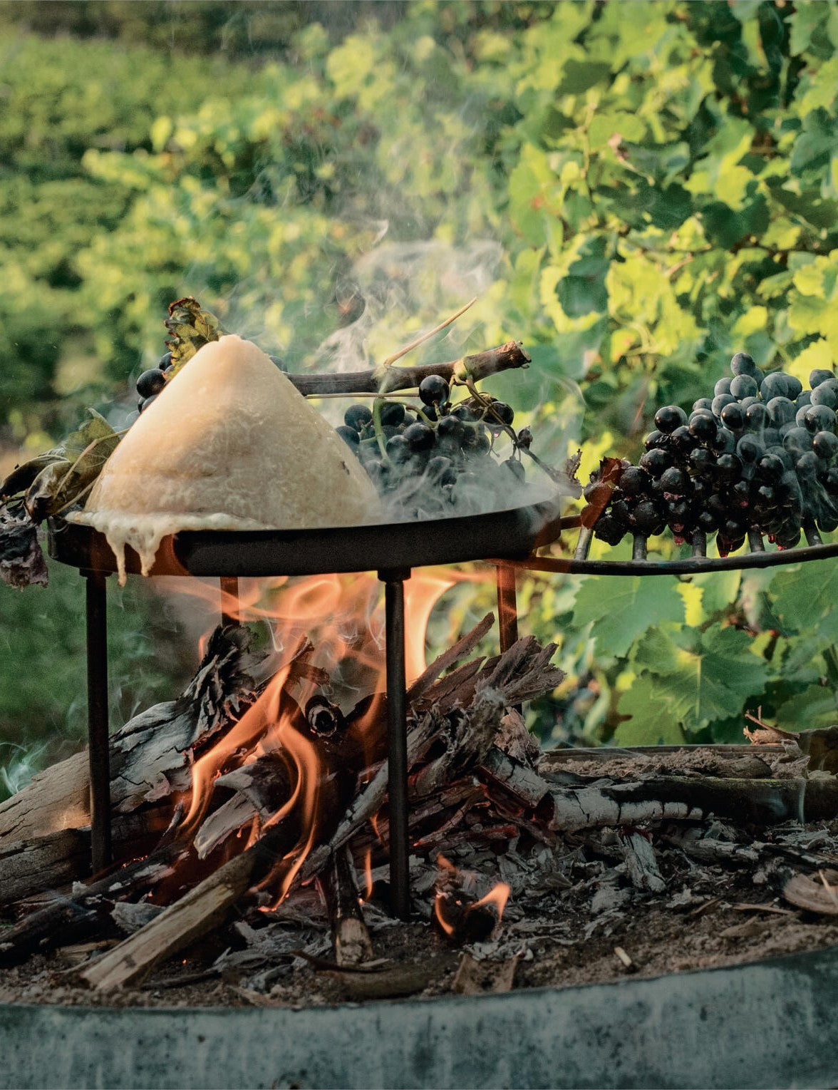 Green Fire by Francis Mallmann hardback cookbook — Grilled Grapes with Melted Cheese page