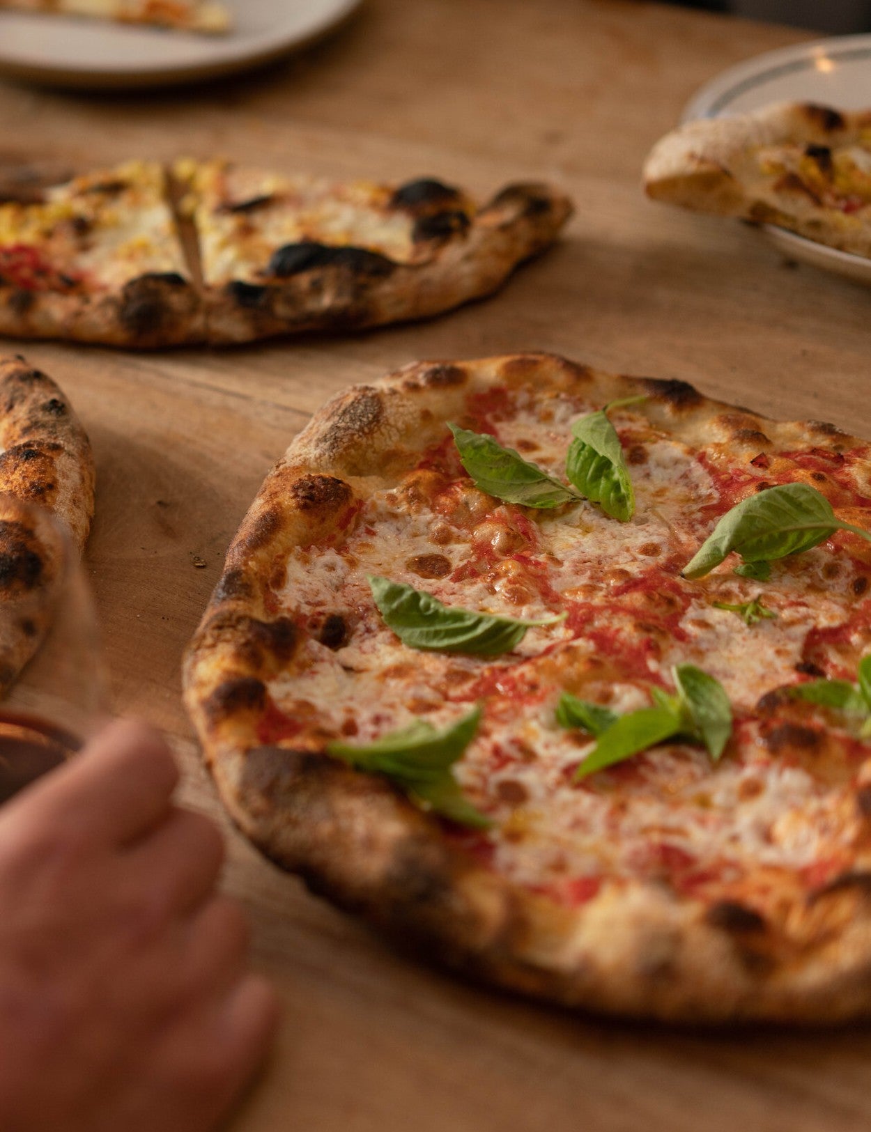 The Joy of Pizza by Dan Richer & Katie Parla hardback cookbook — margherita pizzas with fresh basil