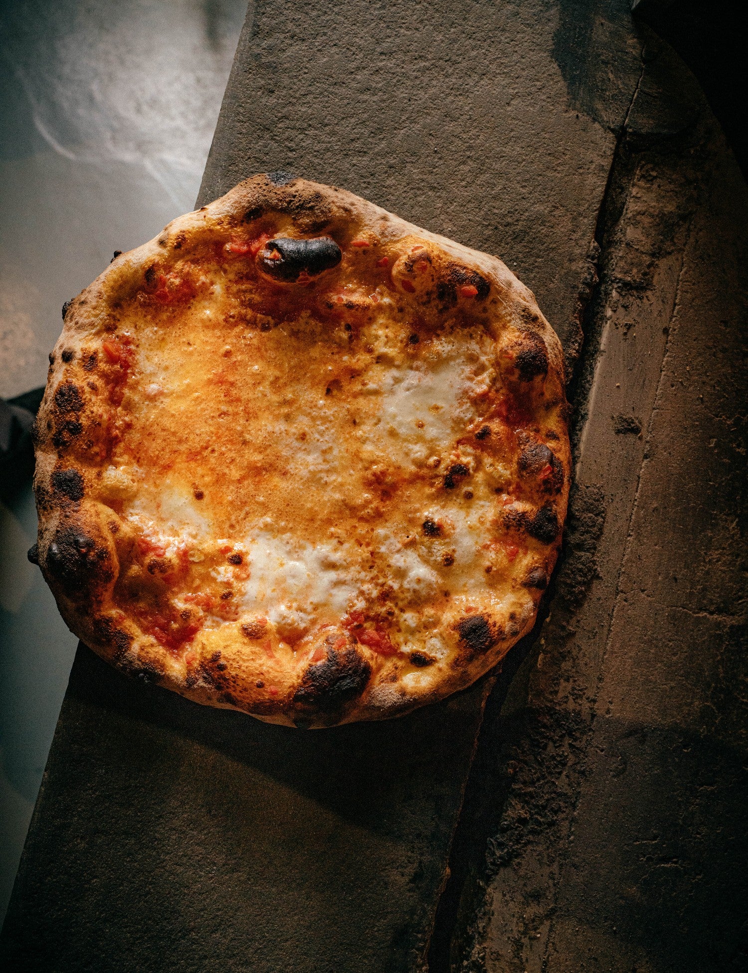 The Joy of Pizza by Dan Richer & Katie Parla hardback cookbook — blistered pizza fresh from the oven