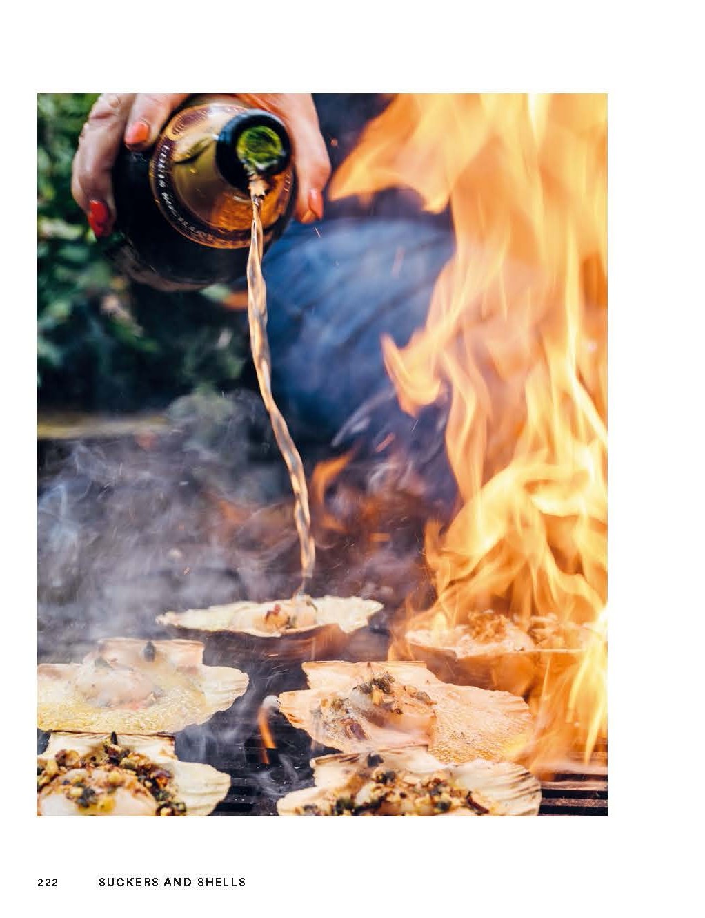 Scorched by Genevieve Taylor hardback cookbook — scallops in the shell over open flames
