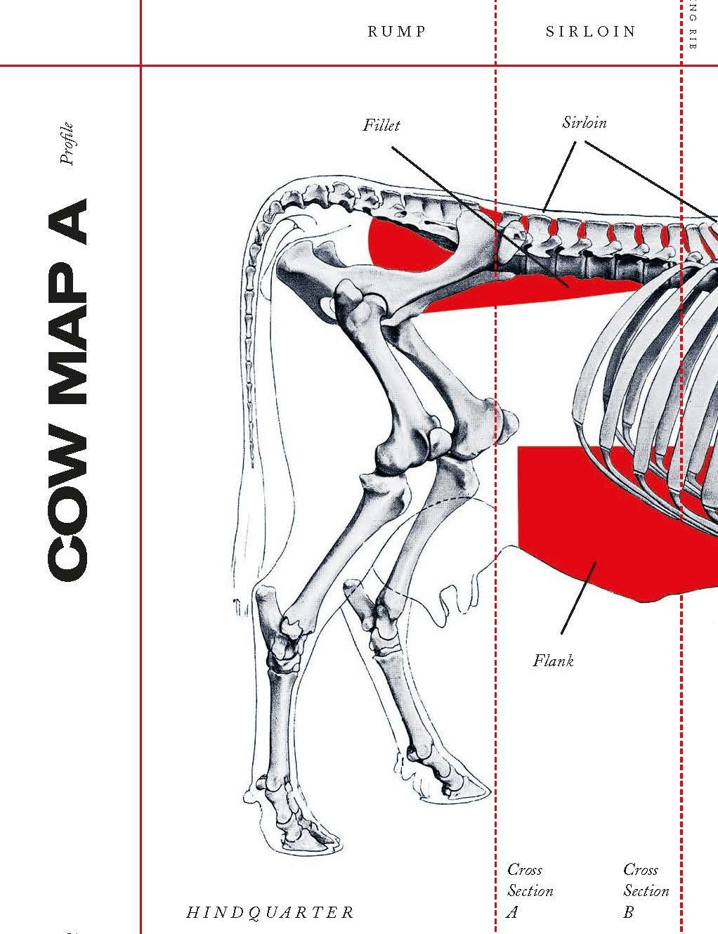 Steak by Tim Hayward hardback cookbook — Cow Map A page of beef cuts