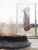 Stoked by Al Brown hardback cookbook — whole pig on a spit over a fire pit