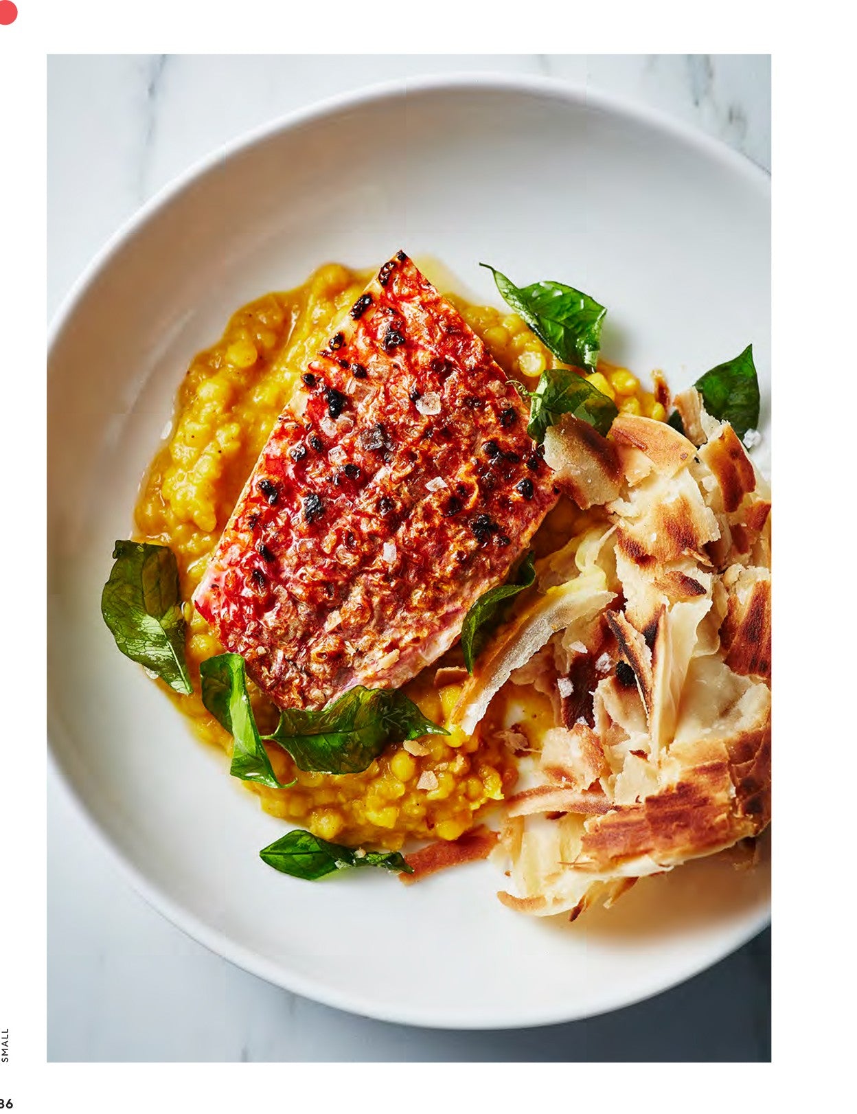 Take One Fish by Josh Niland hardback cookbook — recipe page for red mullet with white poppy chana dal