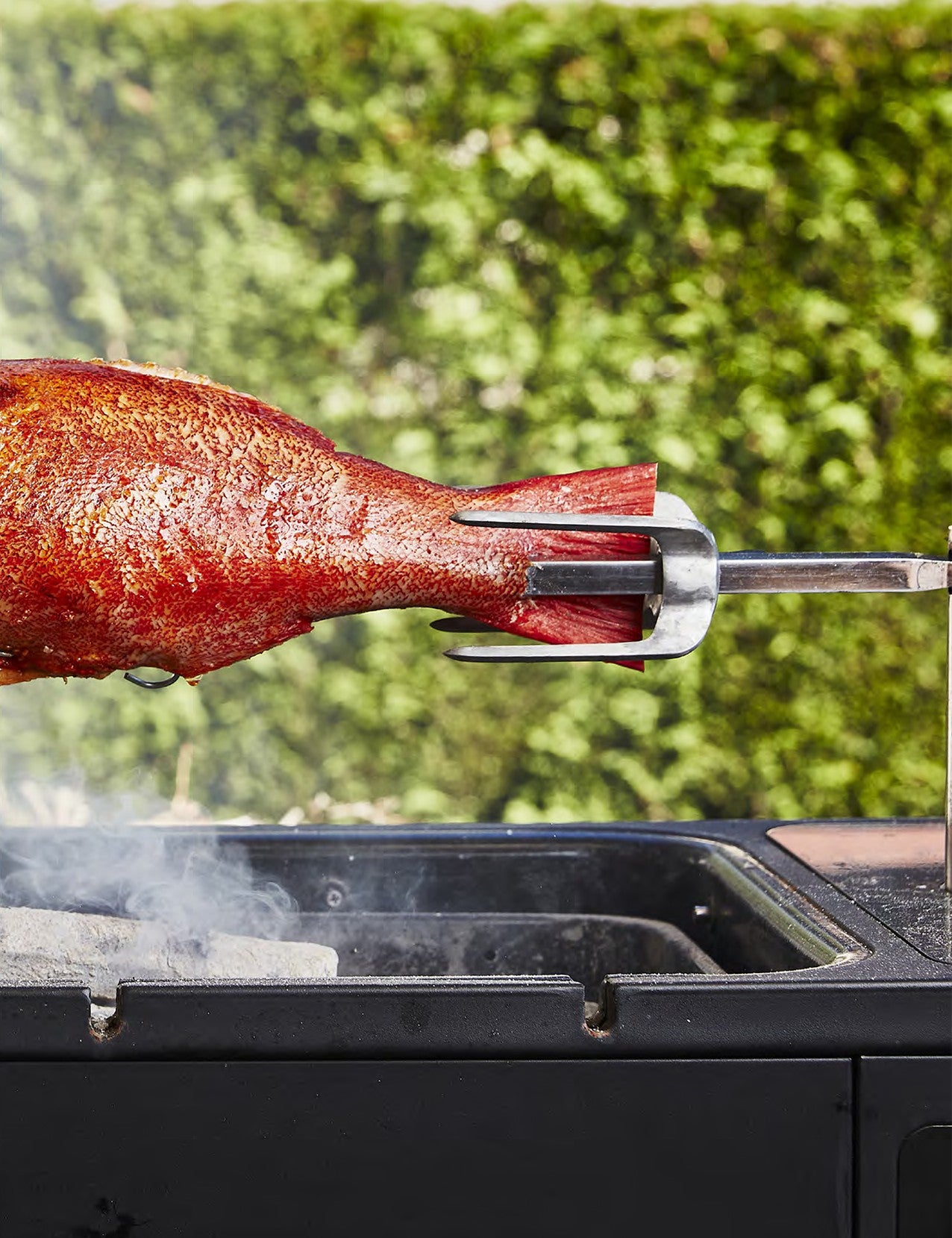 Take One Fish by Josh Niland hardback cookbook — whole fish turning on a rotisserie over open coals