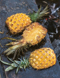 The Art of Barbecue by Thierry "Big T" Cornuet hardback cookbook — rum-flambéed roasted pineapple recipe page